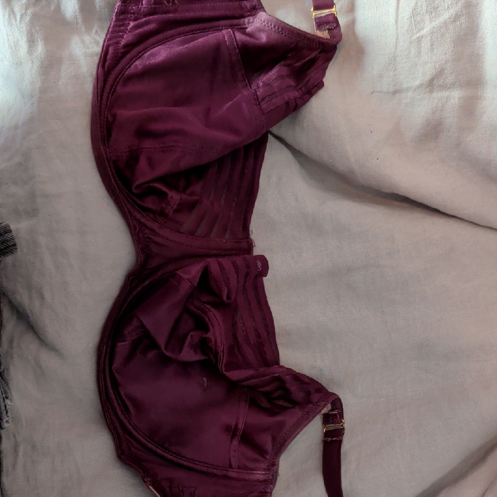 Panache Black Bra Size 38E